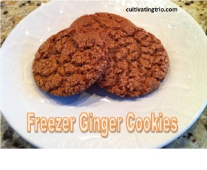 ginger cookie title pic